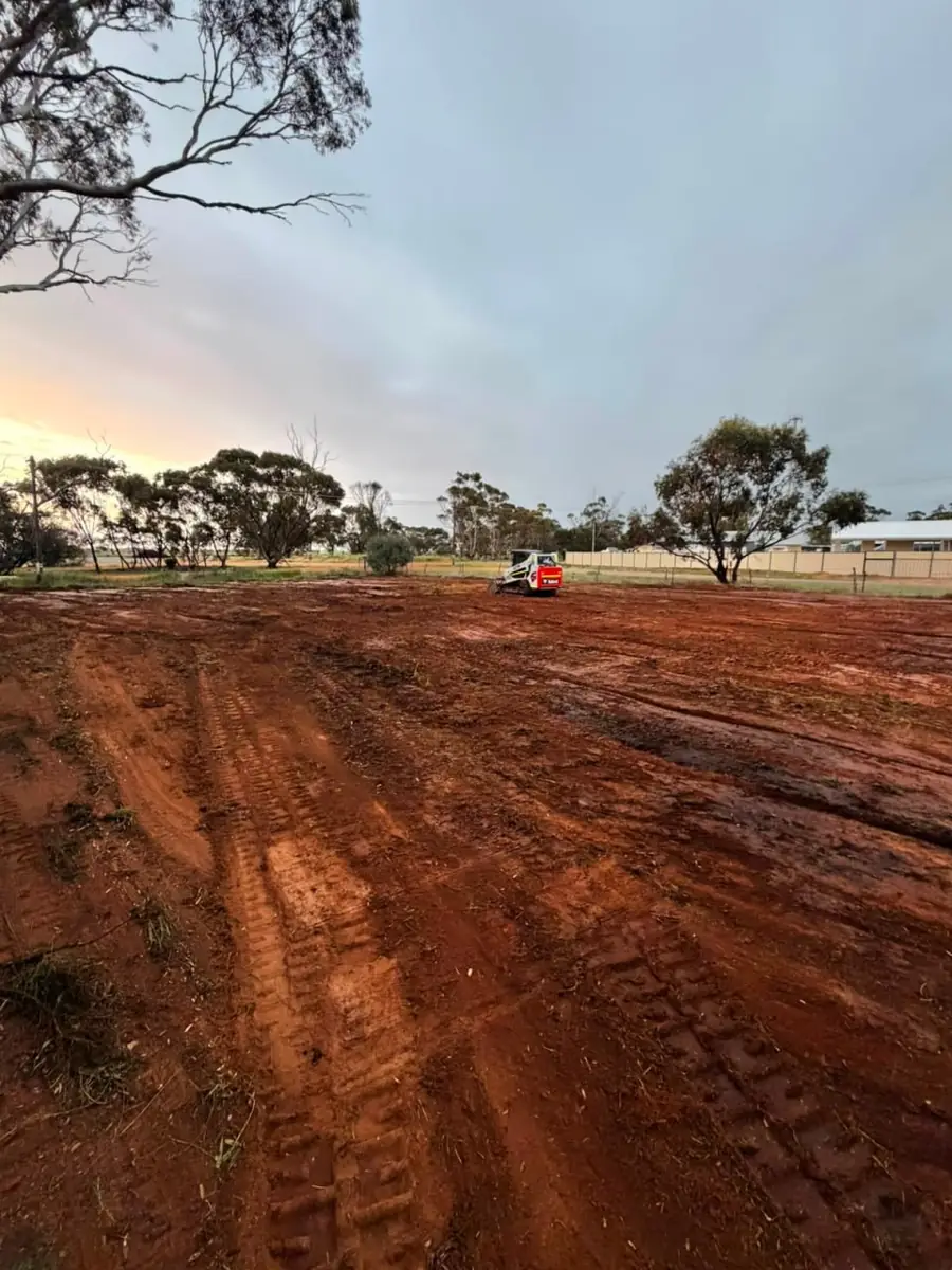 Cleared and levelled acreage block at dusk with the loader parked at the far fence line